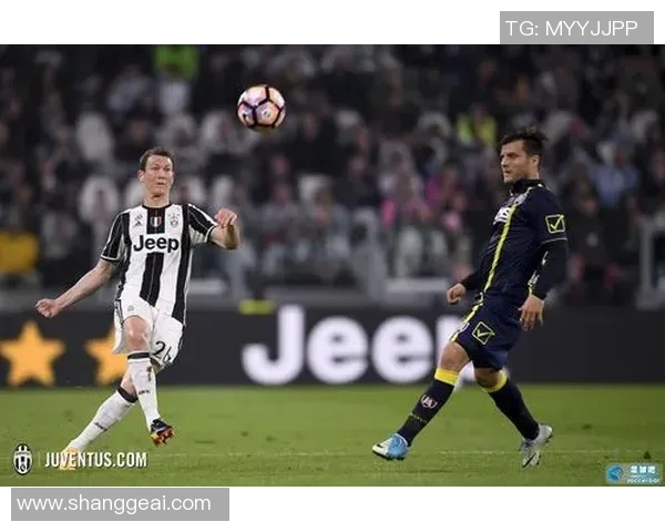 布伦瑞克与申花的精彩对决揭示足球魅力与团队精神的完美结合