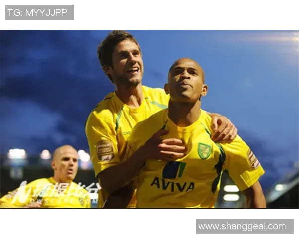 诺维奇与伊普斯维奇的激烈对决揭示英冠赛季新动态